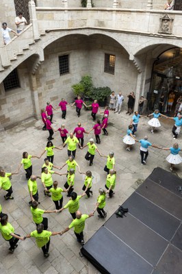 Sardanes al Pati de l'IEI.