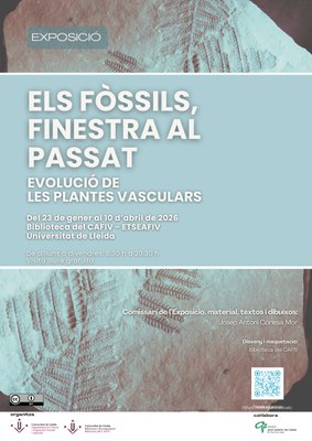 ELS FÒSSILS, FINESTRA AL PASSAT: EVOLUCIÓ DE LES PLANTES VASCULARS.