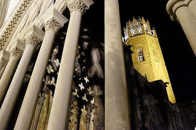 La Seu Vella de nit.