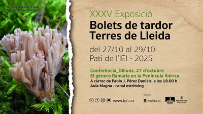 cartell promocional : XXXV Bolets de tardorde les Terres de Lleida.