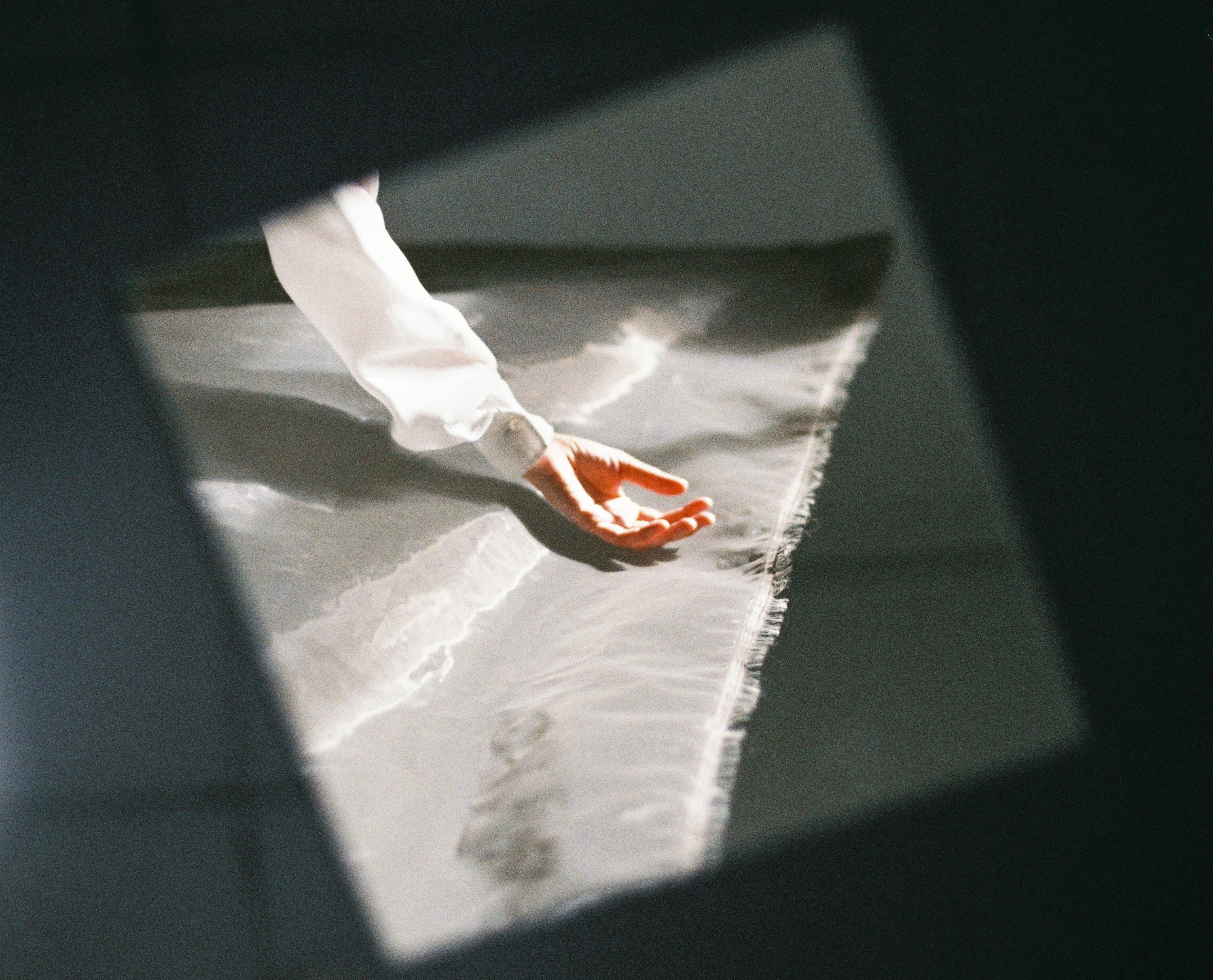 Natura Morta 31 gener.jpg