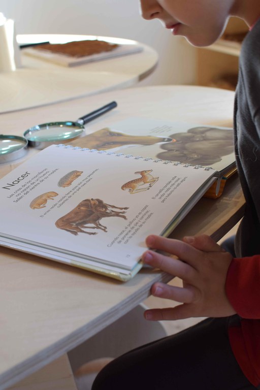 EspaiCiència06_col·leccions