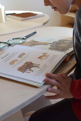 EspaiCiència06_col·leccions