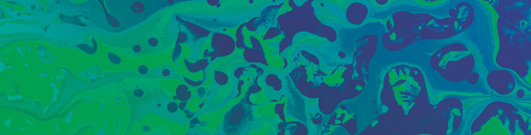 FONS BANNER_PNG.png
