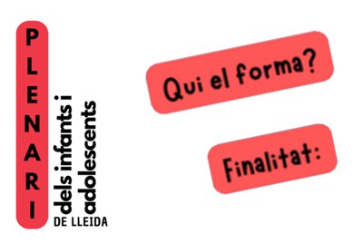 el plenari - qui el forma.jpg