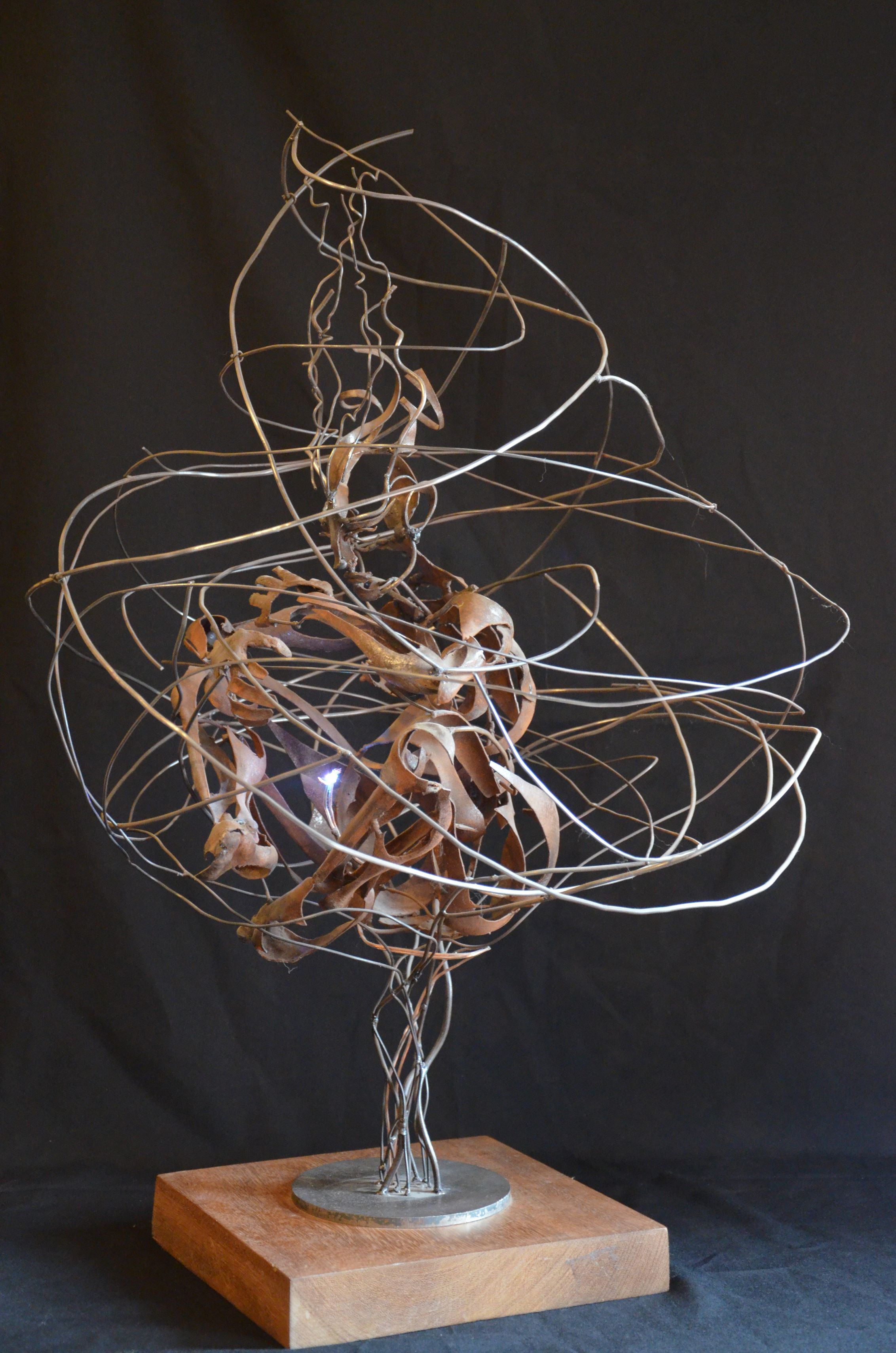 PETJADES MIGUEL ANGEL GONZALEZ.JPG